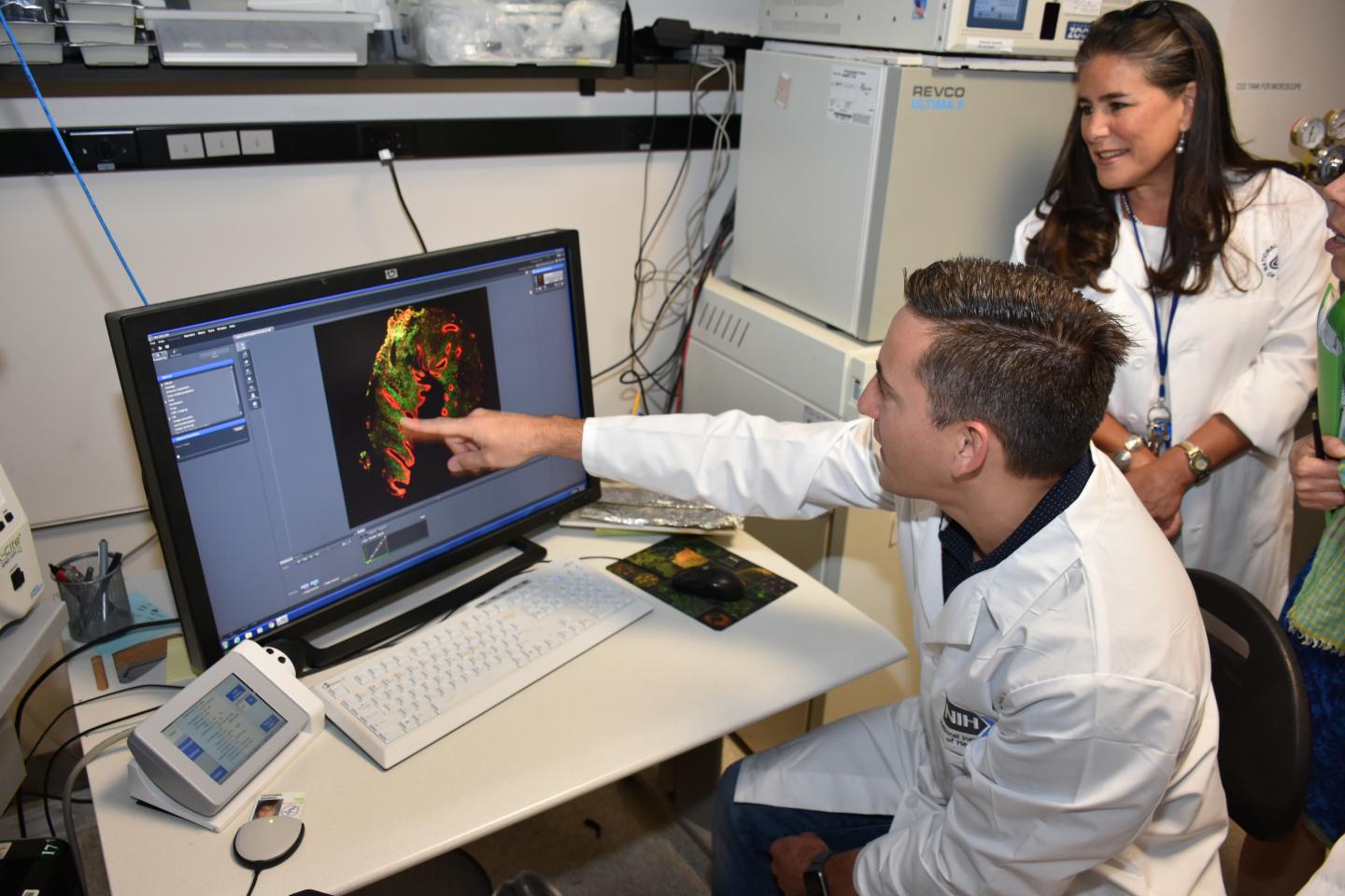 nih-study-examines-processes-underlying-rapid-eurekalert