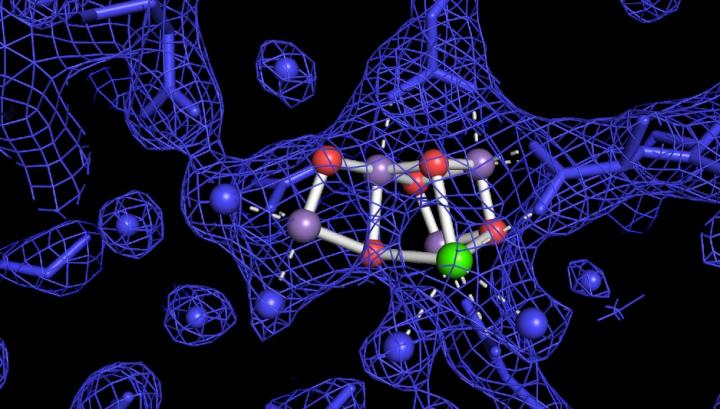 Illustration of Photosystem II