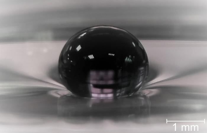 A droplet of butyl alcohol levitating above the surface of silicone oil