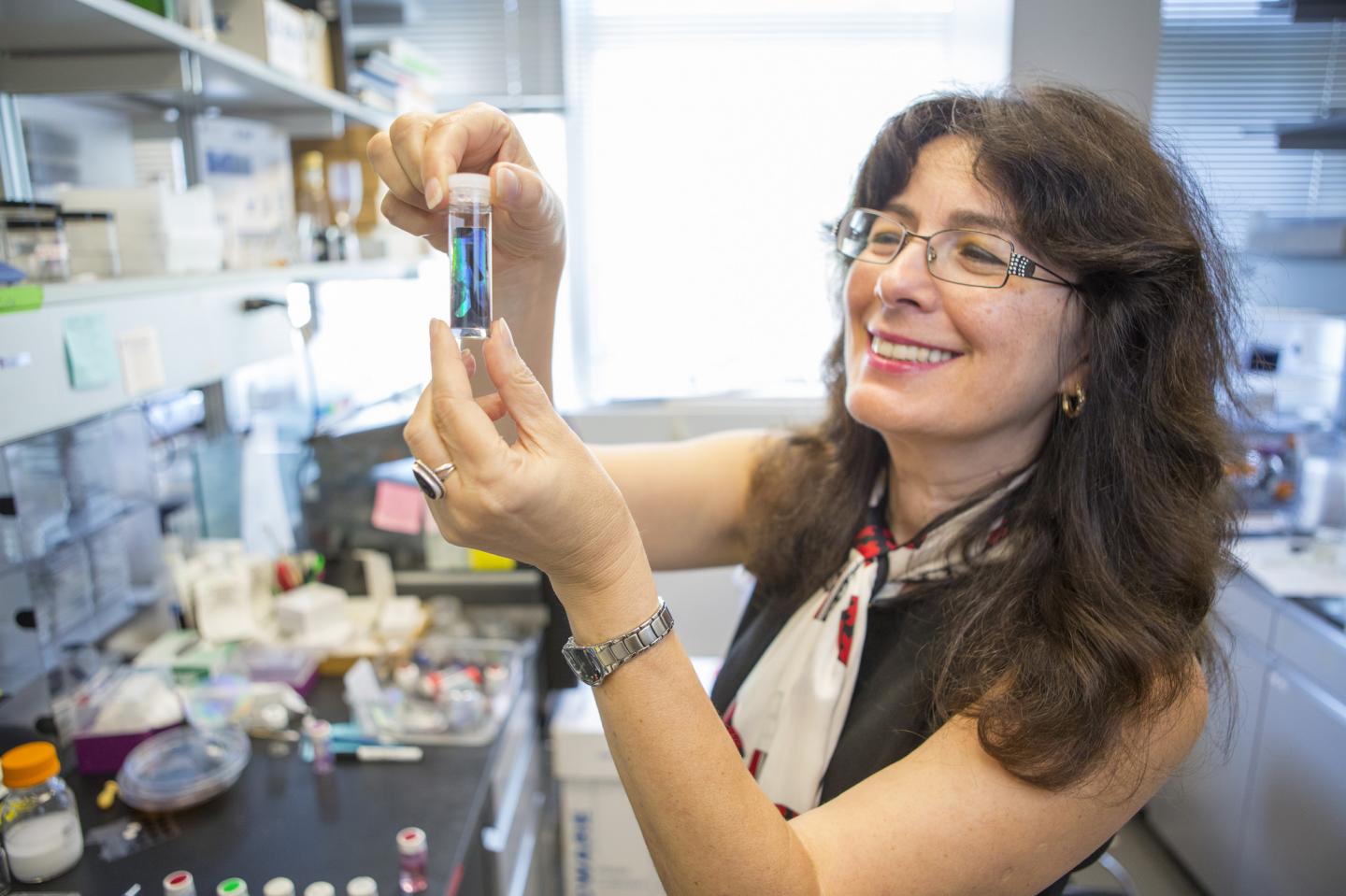 Joanna Aizenberg, Harvard John A. Paulson School of Engineering and Applied Sciences