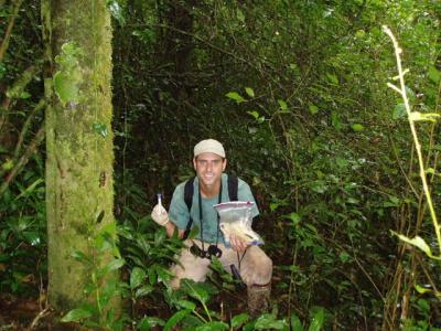 E. coli Bacteria Migrating Between Humans, Chimps in Ugandan Park