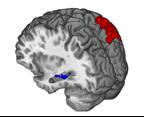 The Changes Caused by Route-Learning in the Hippocampus