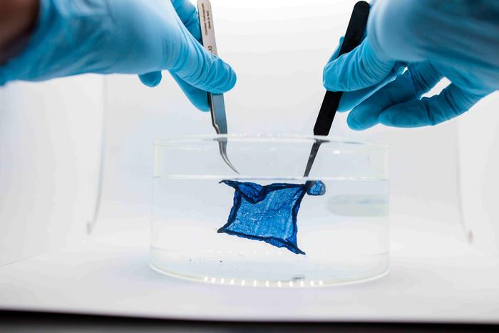 Hydrogel Semiconductor