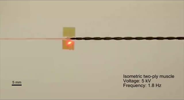 Stretching the Limits on Conducting Wires (3 of 4)