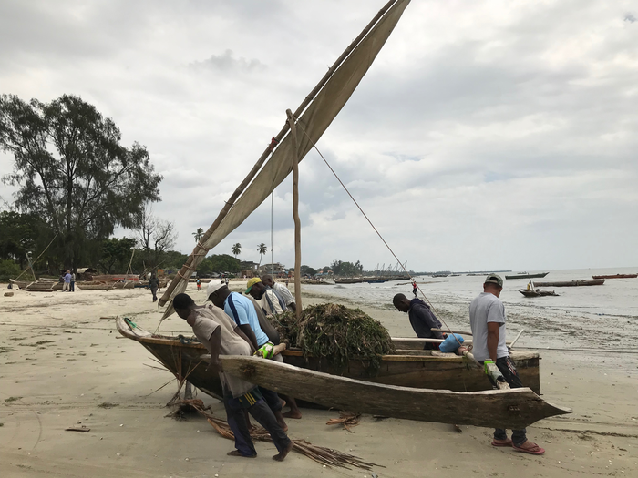 First Detailed Academic Study of East African Maritime Traditions Shows Changes in Boatbuilding