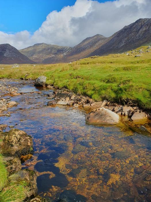 Streams are interesting aquatic systems.