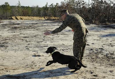 Top Dog Demo 2012 (1 of 2)