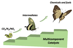 Three models for recent progress in multicomponent catalyst design for CO2/N2/NOx electroreduction.