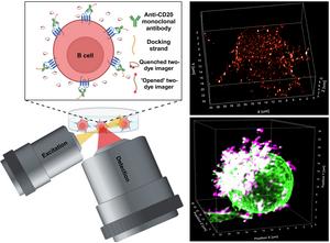 Super-resolution Microscopy LLS-TDI-DNA-PAINT