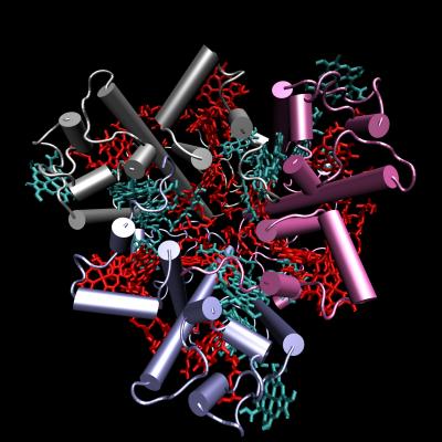 Plant Antenna Complex