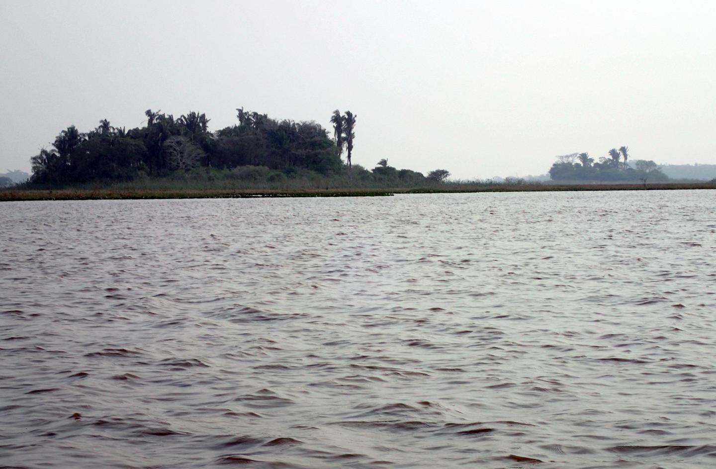 Forest Island Isla Manechi (left) in the Barba Azul Nature Reserve