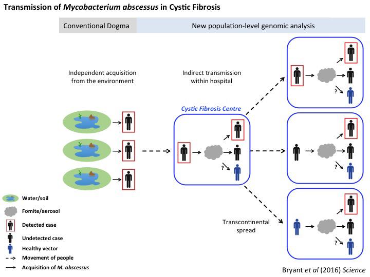 Study of International Cystic Fibrosis Centers Highlights Spread of Aggressive Bacteria