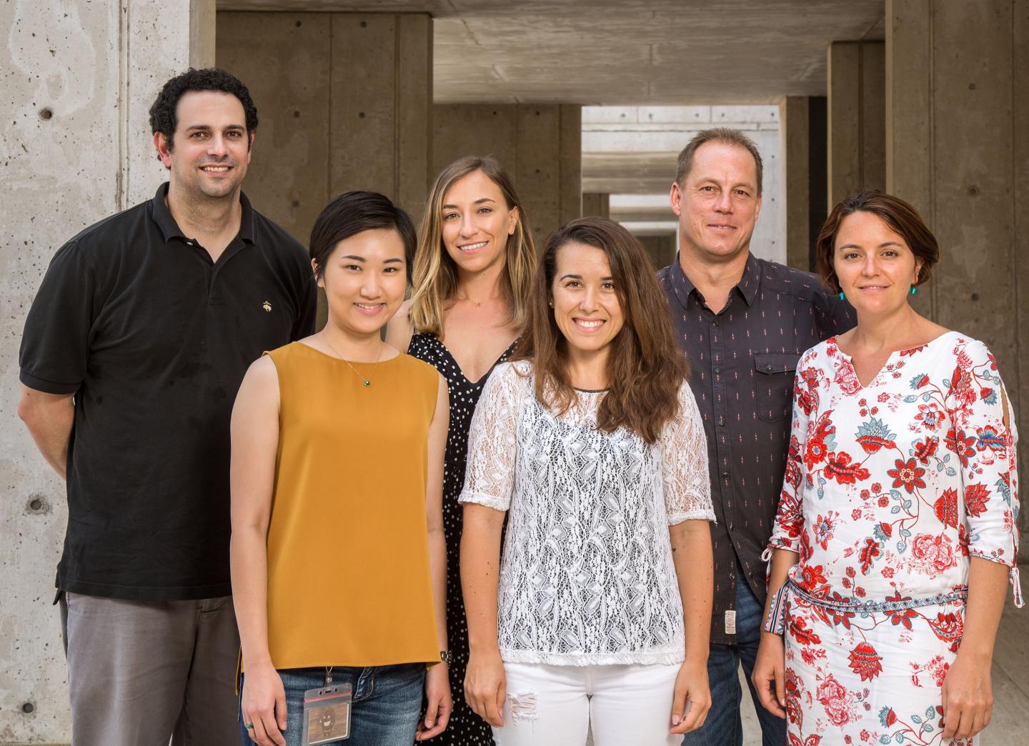 Alan Saghatelian, Jiao Ma, Anna Merlo, Adriana Correia, Jan Karlseder, Nausica Arnoult