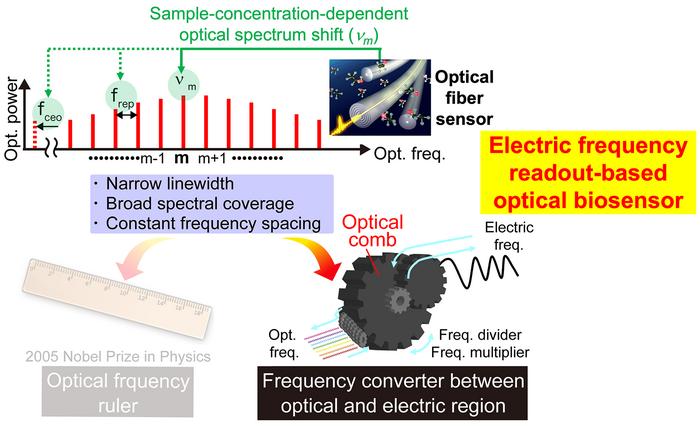 Fig1.Electrical frequency readout-based optical biosensing using OFC.