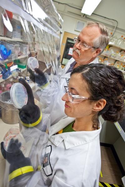 Kristen DeAngelis, DOE/Lawrence Berkeley National Laboratory