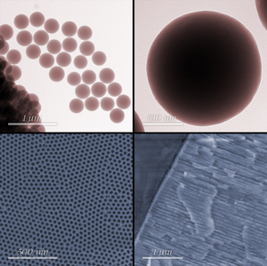 Matrices used to build bioactive nanocomposites