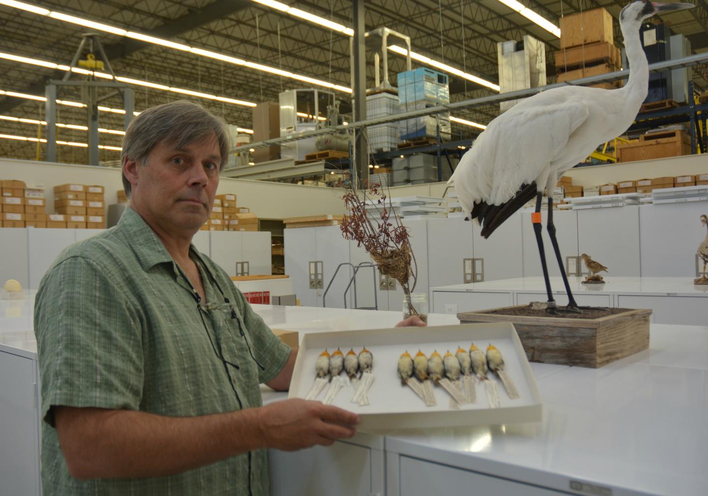 Texas A&M Team Discovers Three New Bird Species in Africa