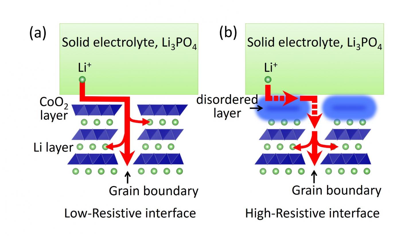 Conduction Path of Li Ions at the Solid-Electrolyte/Electrode Interface