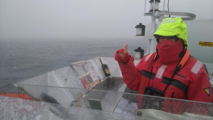 Counting birds and marine mammals from an observation post on RV Polarstern