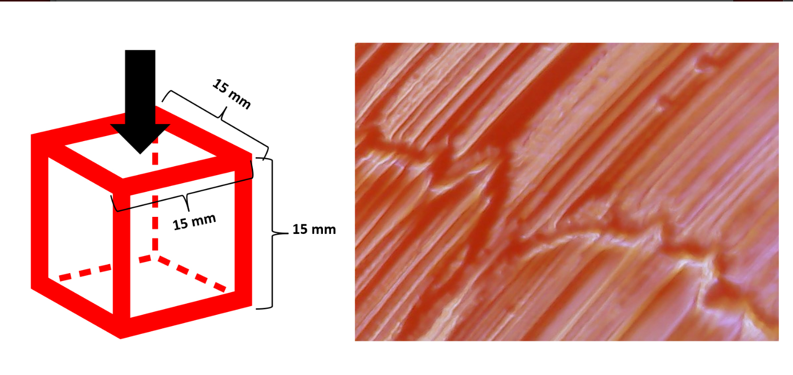 Gummy candy as a food model for texture.