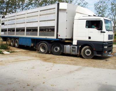 Livestock Transport