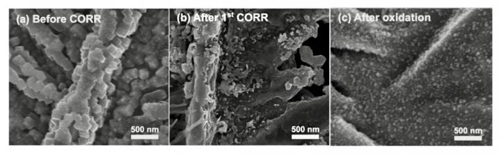 Copper Catalyst Before and After Oxidation