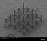 Silver-Coated Microneedles