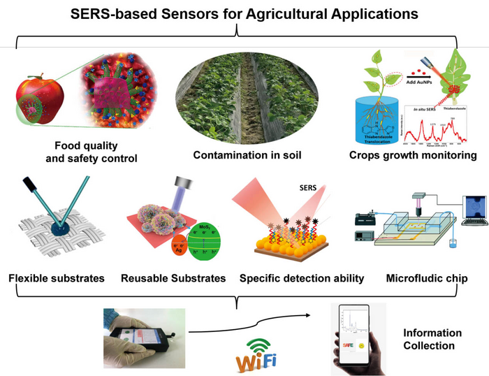 Review of SERS-based Sensors for Agricultural Applications