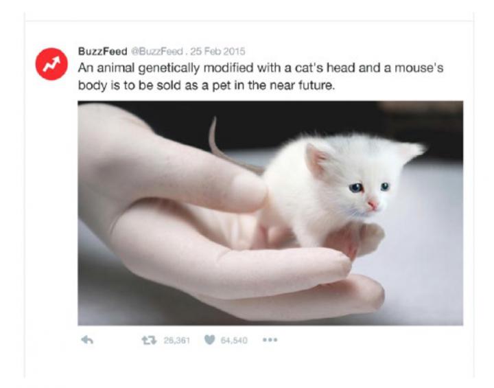 Fake Image Mockup Seen by Study Participants