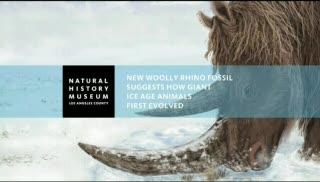 Tibetan Plateau a Cold Cradle for Ice-Age Giants (4 of 7)