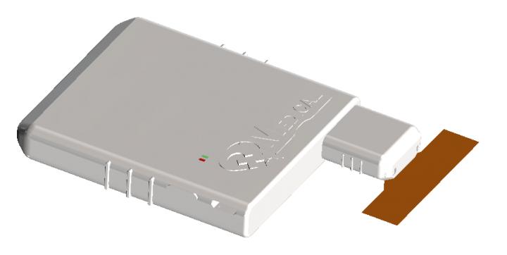 QTScreen, ECG for Newborns