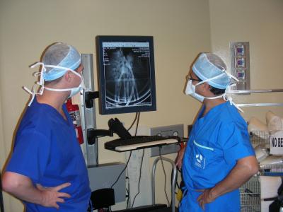 Assessing Gene Therapy Treatment in the McEwen Centre for Regenerative Medicine, UHN