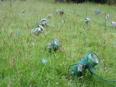 Meadow in Spain with Cameras