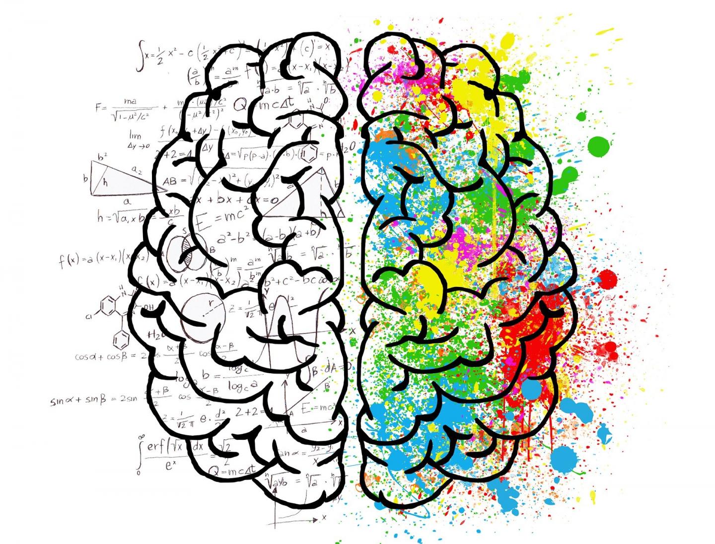 The Brain: Scientific and Creative