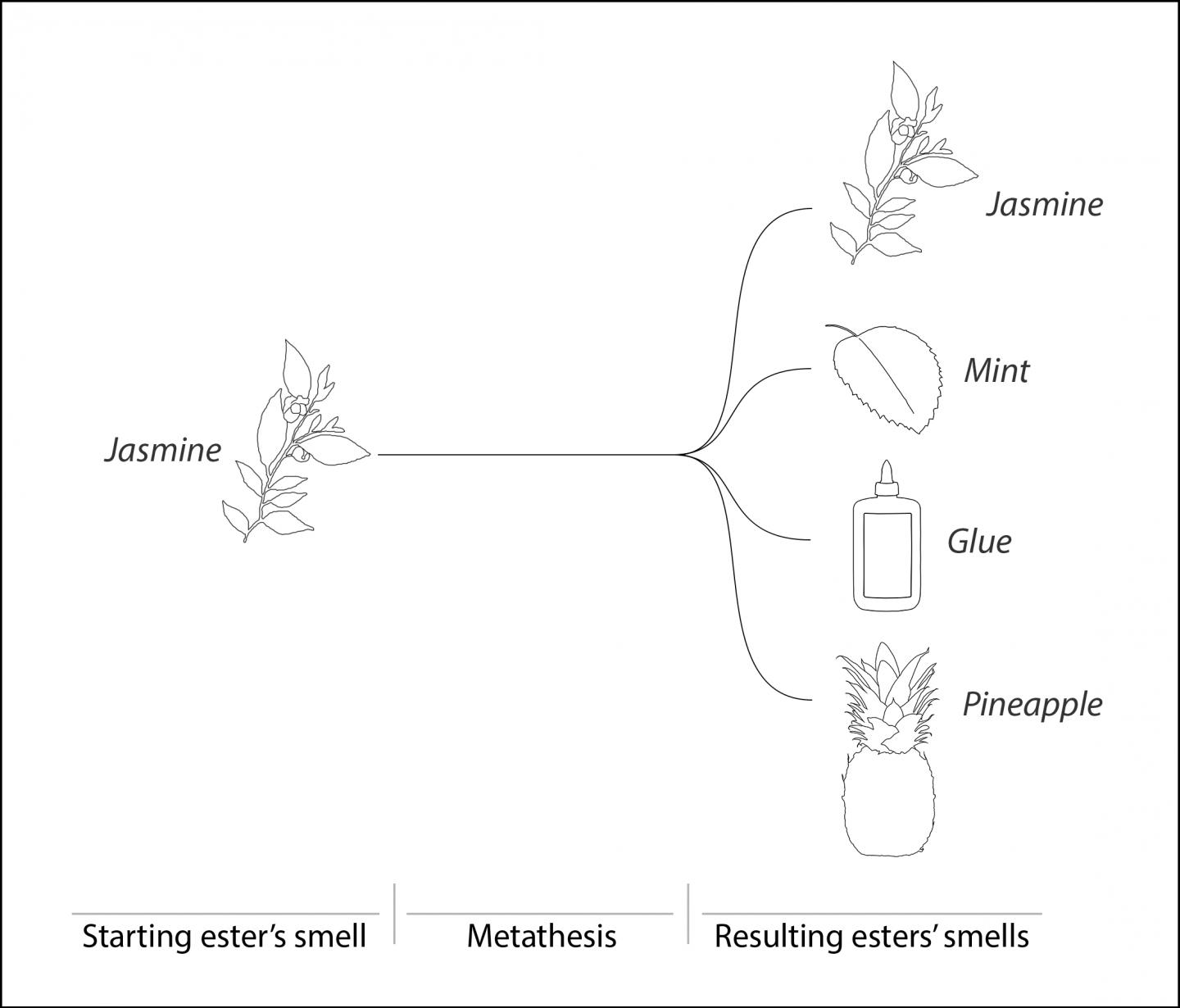 Schematic Representation 
