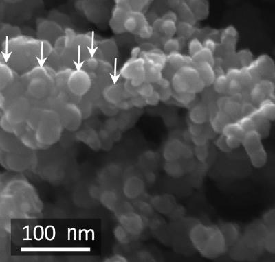 Silicon Nanoparticles