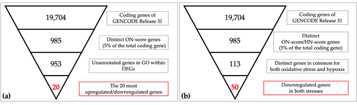 Schematic view of identification of responsive genes in meta-analysis