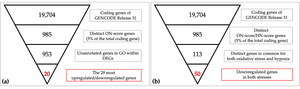 Schematic view of identification of responsive genes in meta-analysis