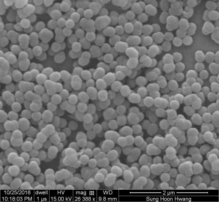 Packed, Micron-Scale Calcium Silicate Spheres