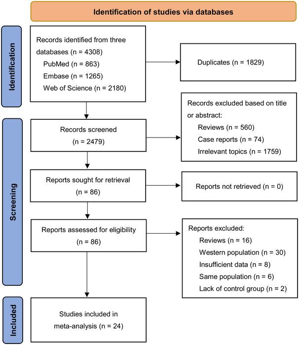 Flowchart of the systematic search and selection process