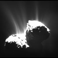 Rosetta Activity Nov. 22