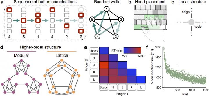 Subjects Respond To Sequences Of Stimuli Drawn As A Random Walk On An Underlying Transition Graph
