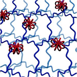 Structure of Rotaxane