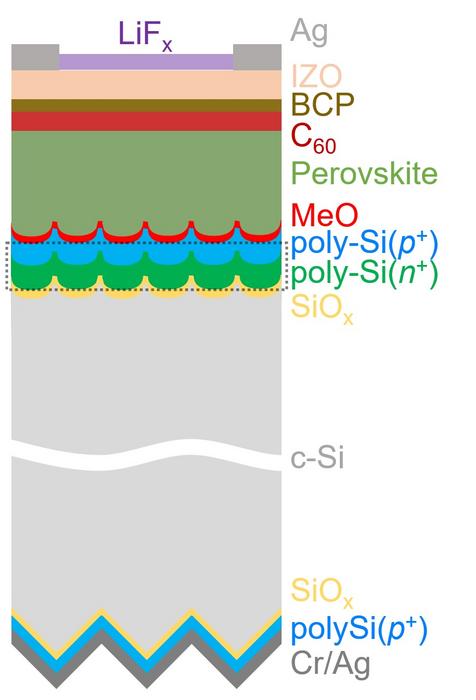 The perovskite/TOPCon TSC with a poly-Si tunnelling recombination layer