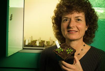 Pamela Green, University of Delaware