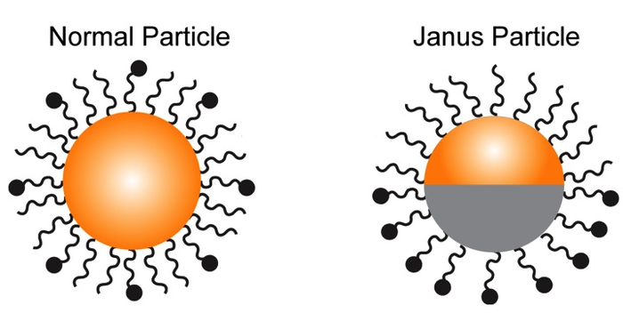 Janus particle illustration