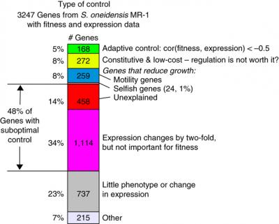 Adaptive Gene Response