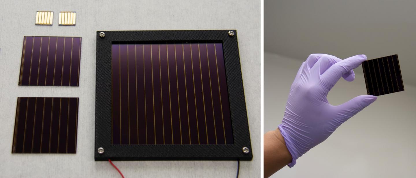 Perovskite Solar Cells and Modules