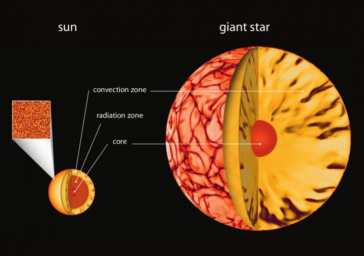 Interior of Sun and Giant Star