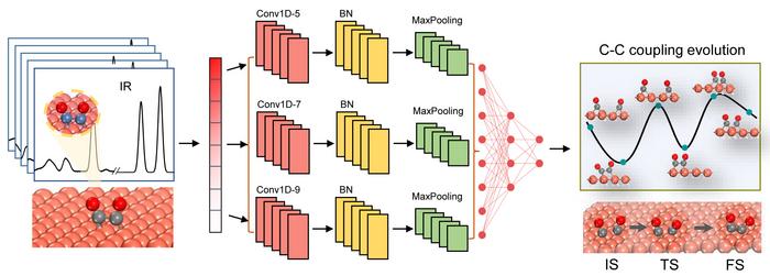 Machine learning protocol for monitoring the C–C coupling in catalytic reactions via deciphering the infrared spectroscopy